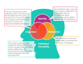 Laying the Groundwork: Shared Understanding of How Children Learn (Part 2)
